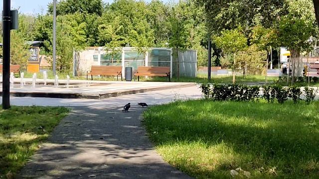 ЧАПАЕВСК САМАРСКАЯ ОБЛАСТЬ ПАРК ИМЕНИ В.И.ЧАПАЕВА