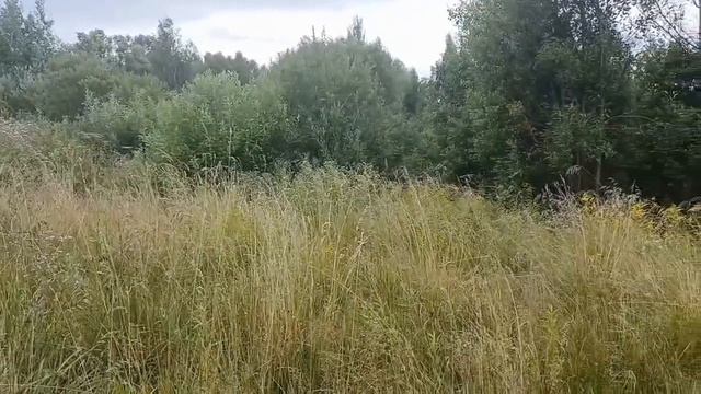 Земельный участок д. Есино