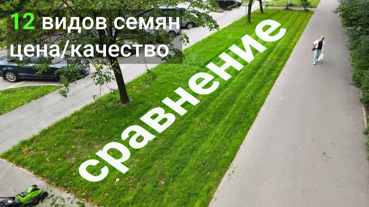 Какие семена газона выбрать: сравнение 14 травосмесей на практике