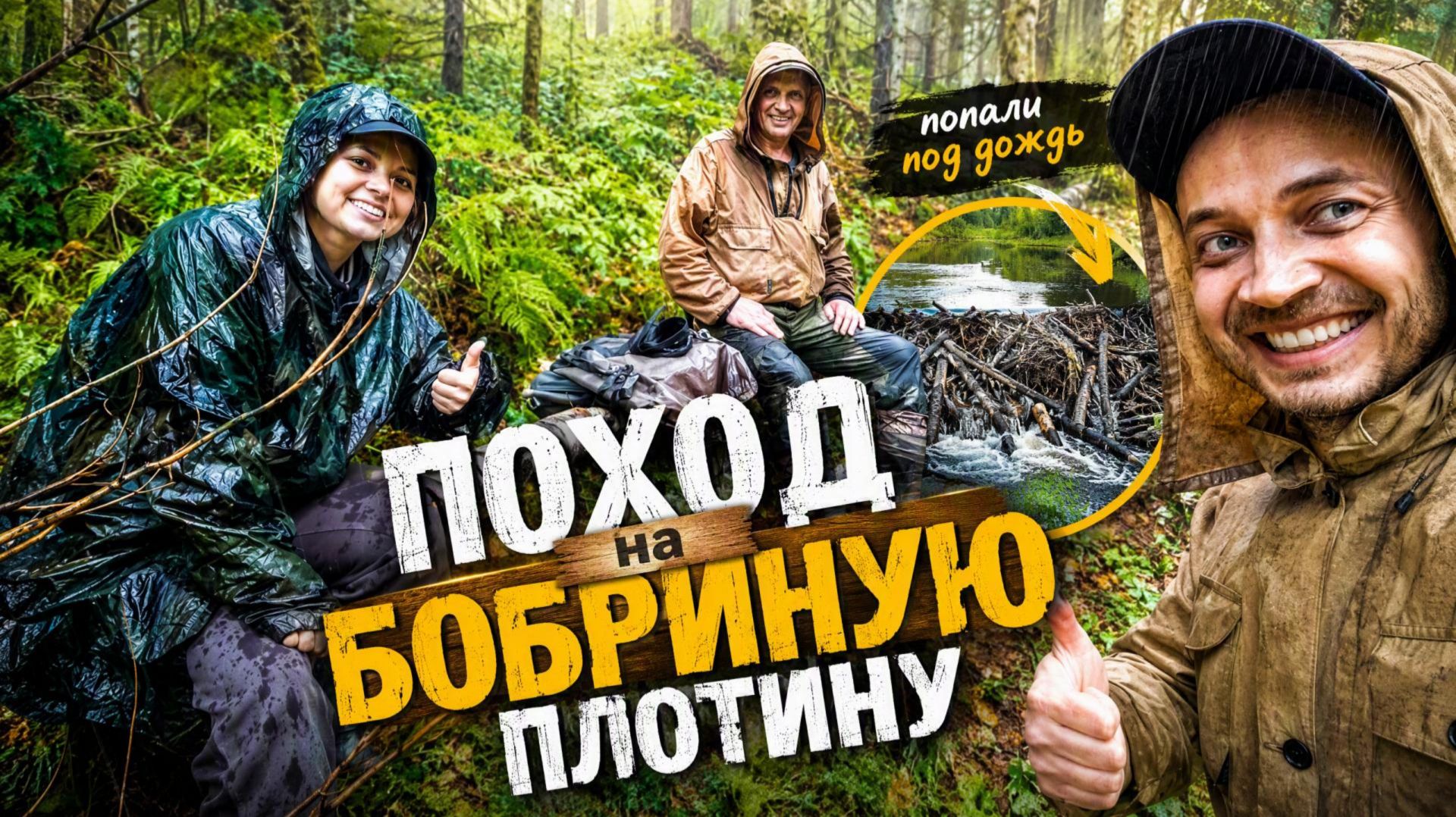 20260808 Прогулка по лесу на бобриную плотинулесу.
