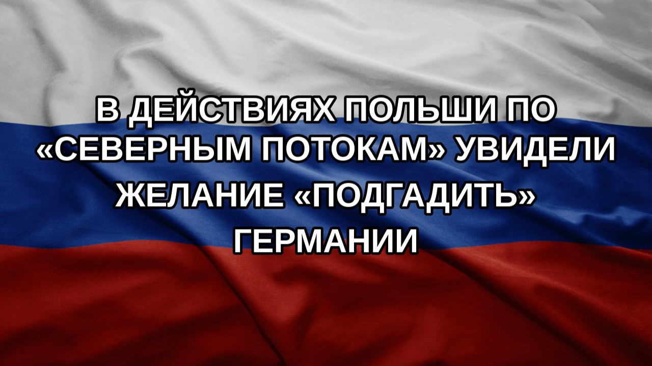 В действиях Польши по Северным потокам увидели желание подгадить Германии