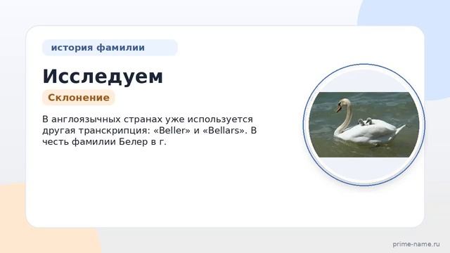Исследуем происхождение и историю фамилии Белер: узнайте значение и особенности склонения