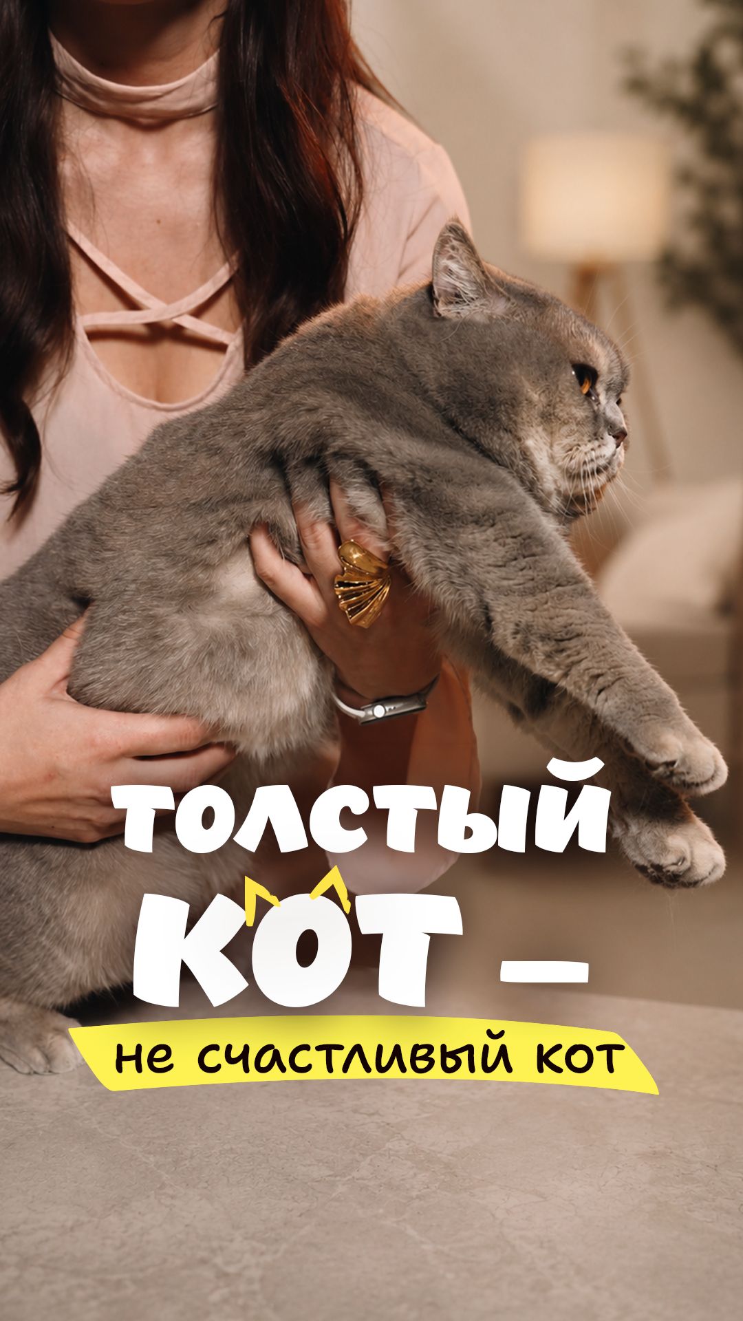 Как определить что у кошки ожирение.