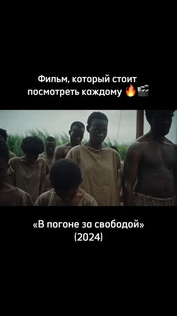 В погоне за свободой