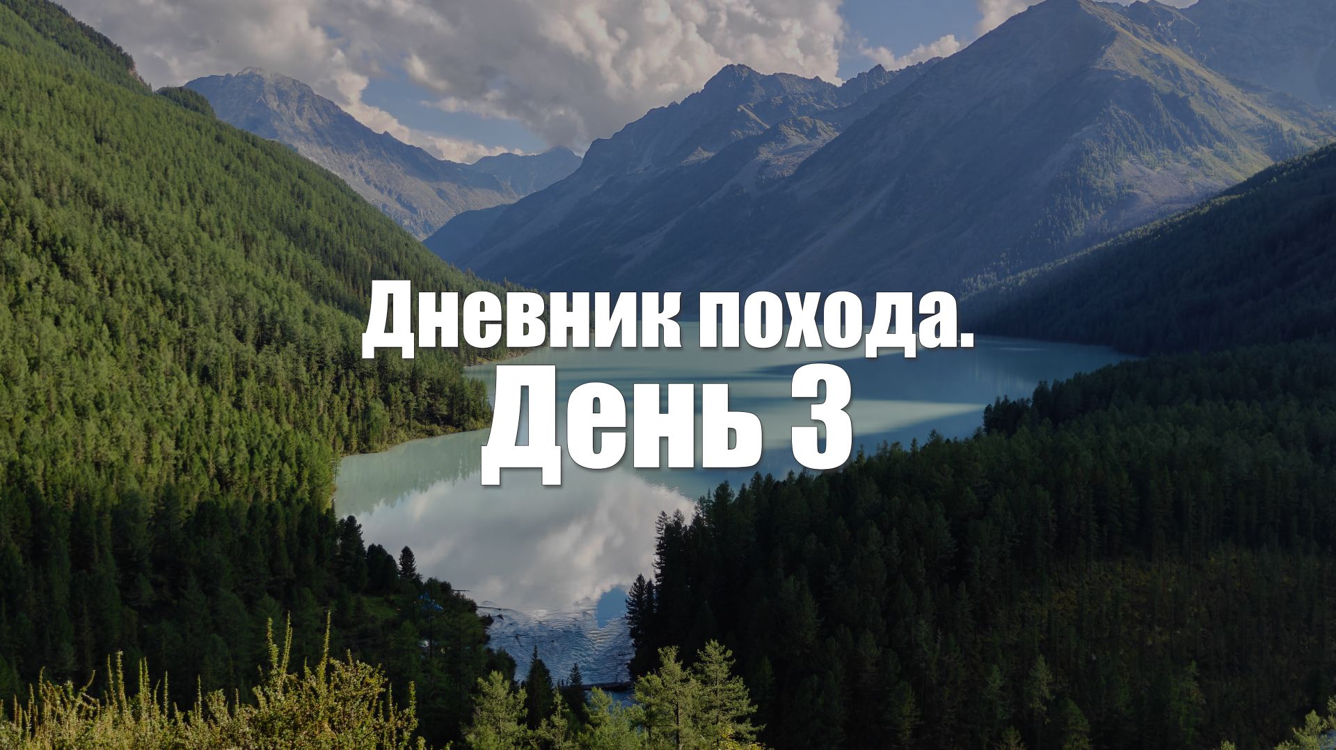 Алтай. День 3. Кедровые стоянки и медведь.