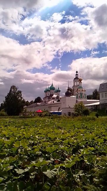 тыквы на участке монастыря_Толгский монастырь _гЯрославль21.08.2619град