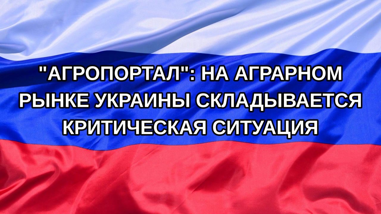 Н. РФ Агропортал: на аграрном рынке Украины складывается критическая ситуация