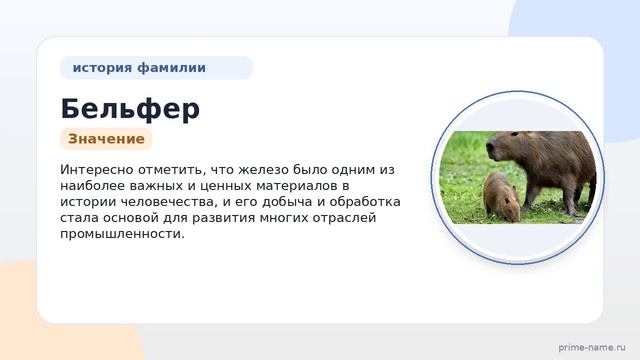 Фамилия Бельфер: происхождение значение и склонение