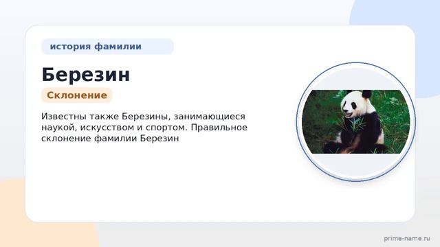 Изучаем происхождение и историю фамилии Березин: значение и правильное склонение