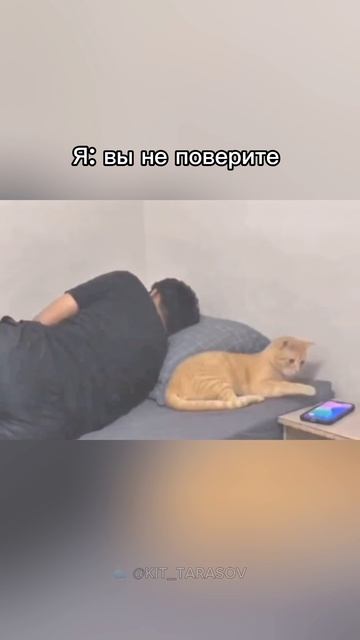  Вы ни за что  не поверите ... kit_tarasov