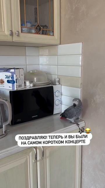 Концерт окончен)))