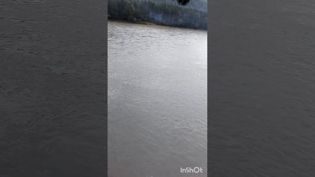 Алтай. Парк Рериха 