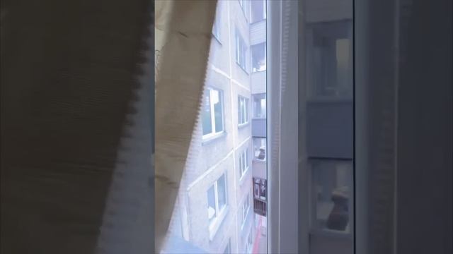 1000784323.mp4