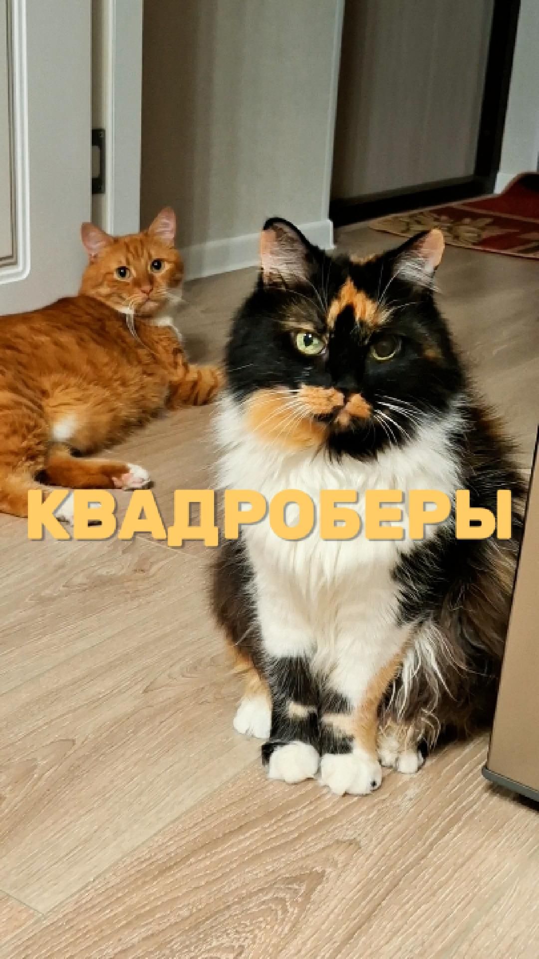 Квадроберы