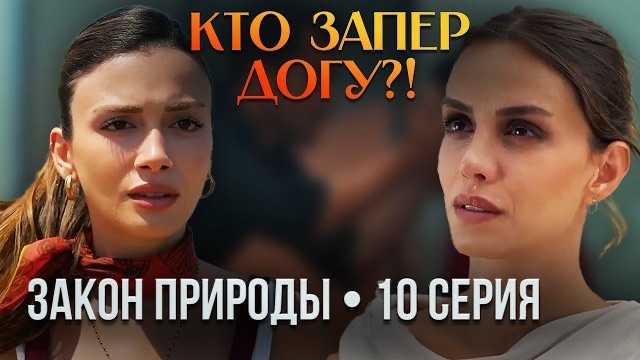 ЗАКОН ПРИРОДЫ — 10 СЕРИЯ: Бюшра призналась Яману, а Дога едва не погибла!