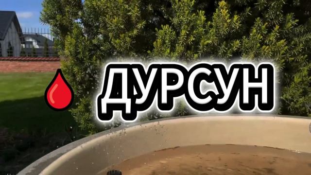 Основание Орхан 26 серия ФИНАЛ русская озвучка 2026  Kuruluş Orhan 26. Bölüm  Обзор