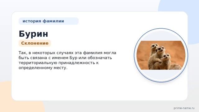 История фамилии Бурин: происхождение значение и склонение  все что вам нужно знать!