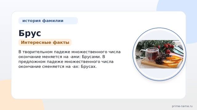 Знакомимся с фамилией Брус: происхождение история и склонение  интересные факты!