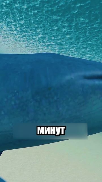 Самый ДОБРЫЙ Кит в Мире! Shorts шортс Roblox роблокс прикол анимация мем пранк