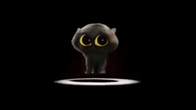 чёрный котик пи-па-па-пара-по