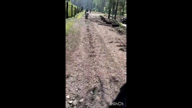 Алтай. Чемал. Прогулка на лошадях.