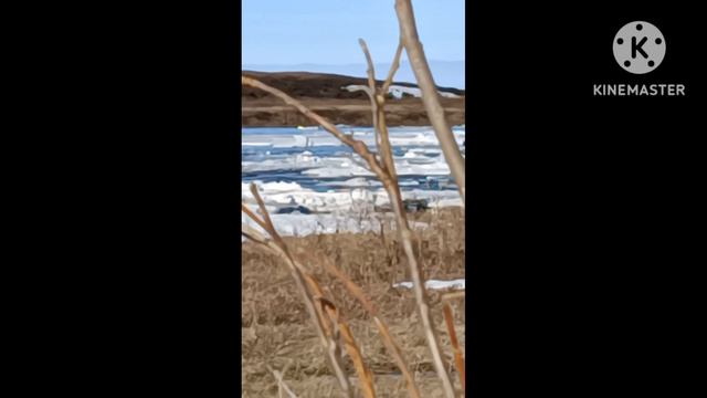 весенняя охота Воркутинский р-он