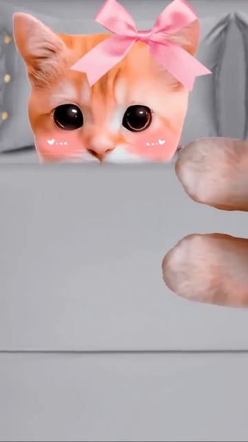 кисы объясняют