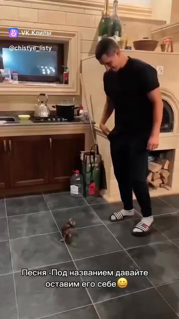 Спасение котика