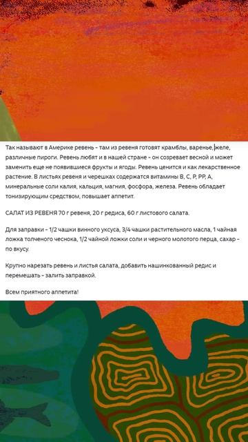 Растение для пирогов - Ревень!