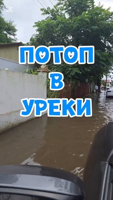 Ливень затопил улицы курортного поселка в Грузии