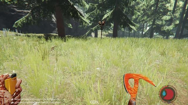 The Forest