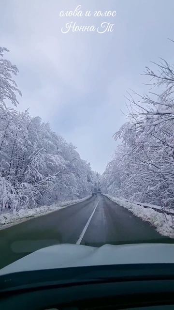 насильно сердце не согреть. голос и слова Нонна Тмузыкапесняклиплюбимпетьмелодияпеснялюбовь