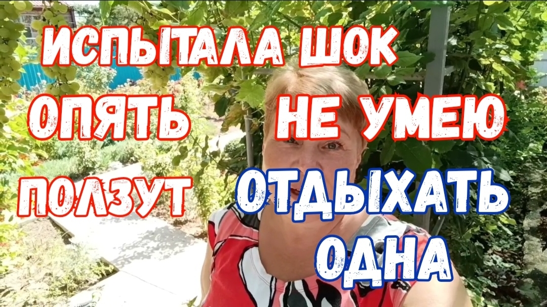 337Испытала шокОпять ползутНе умею отдыхать одна