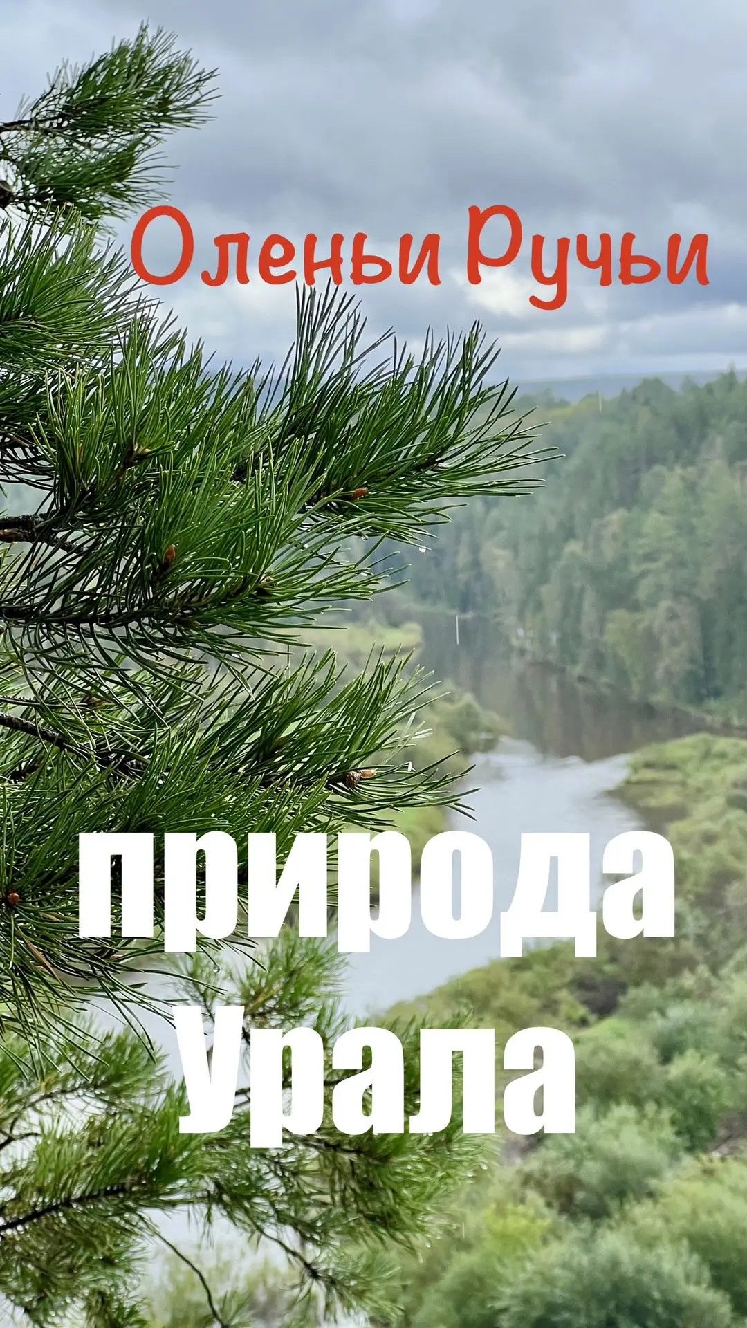 Природа природа дикаяприрода наприроде урал оленьиручьи лес тайга река горы релакс отдых