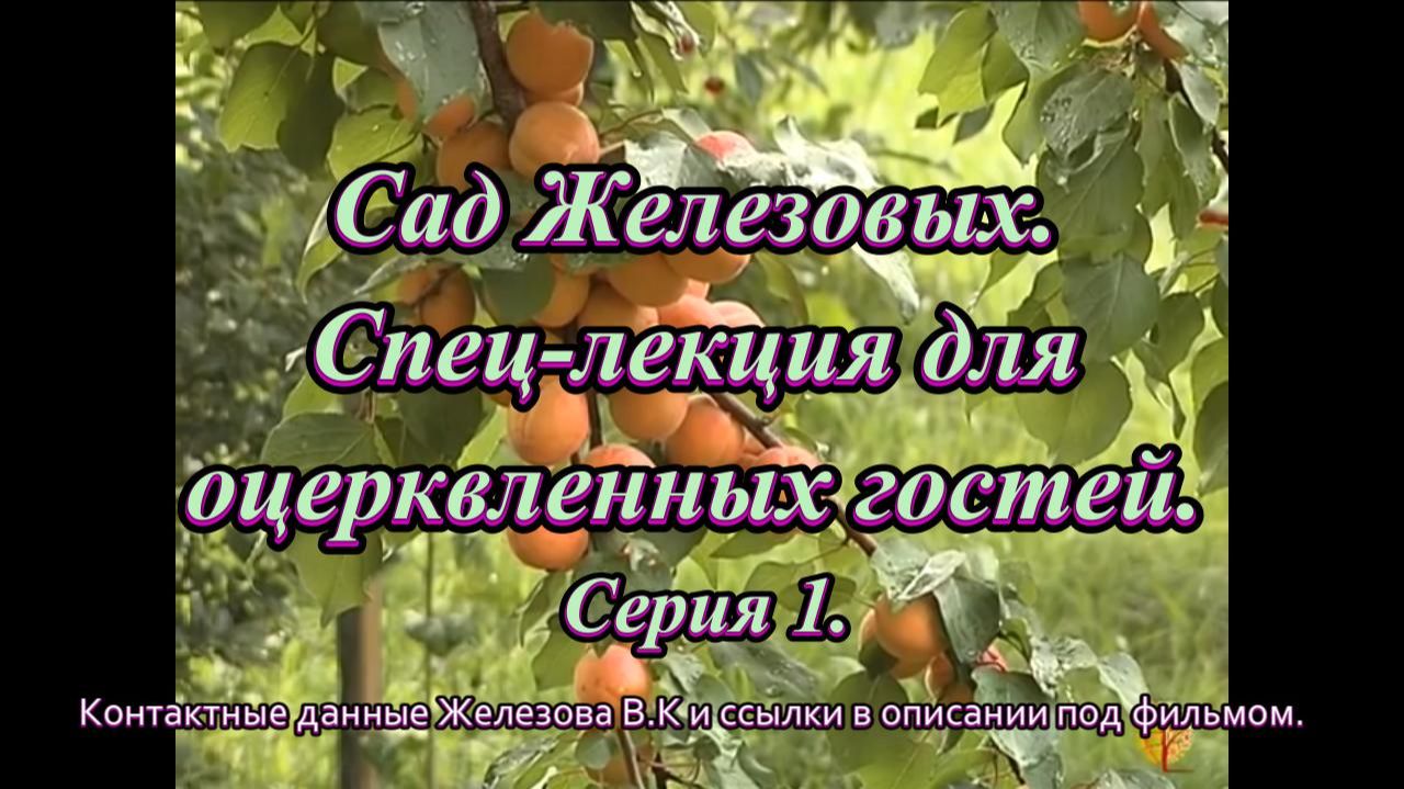 Сад Железовых. Спец-лекция для оцерквленных гостей. Серия 1.