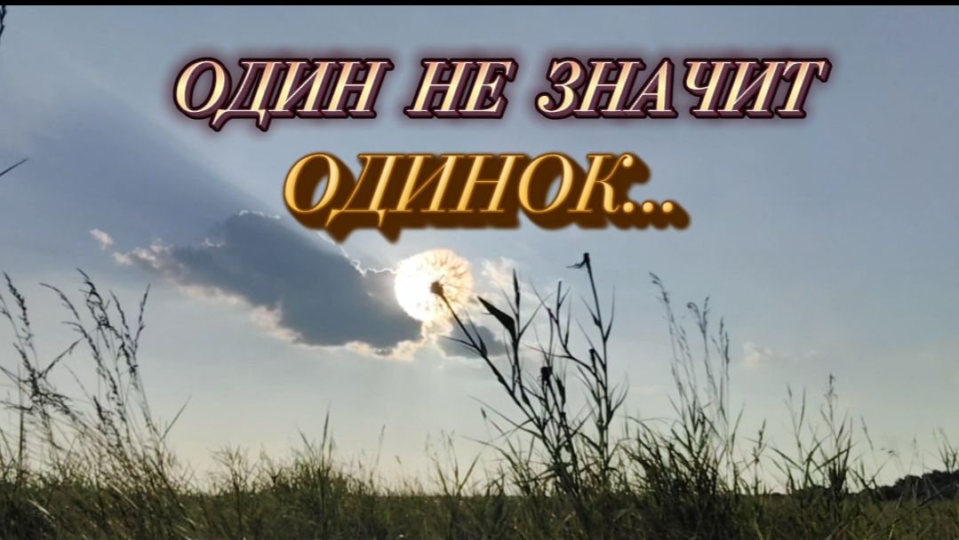 ОДИН НЕ ЗНАЧИТ ОДИНОК.. 