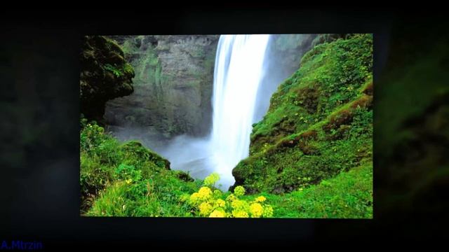 Pulsar - Dreams Come True