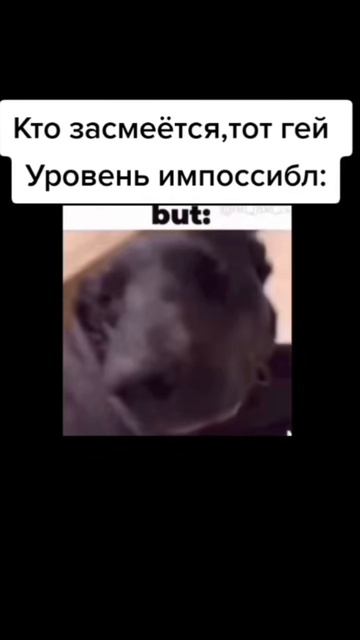 Кто засмеялся тот гей.