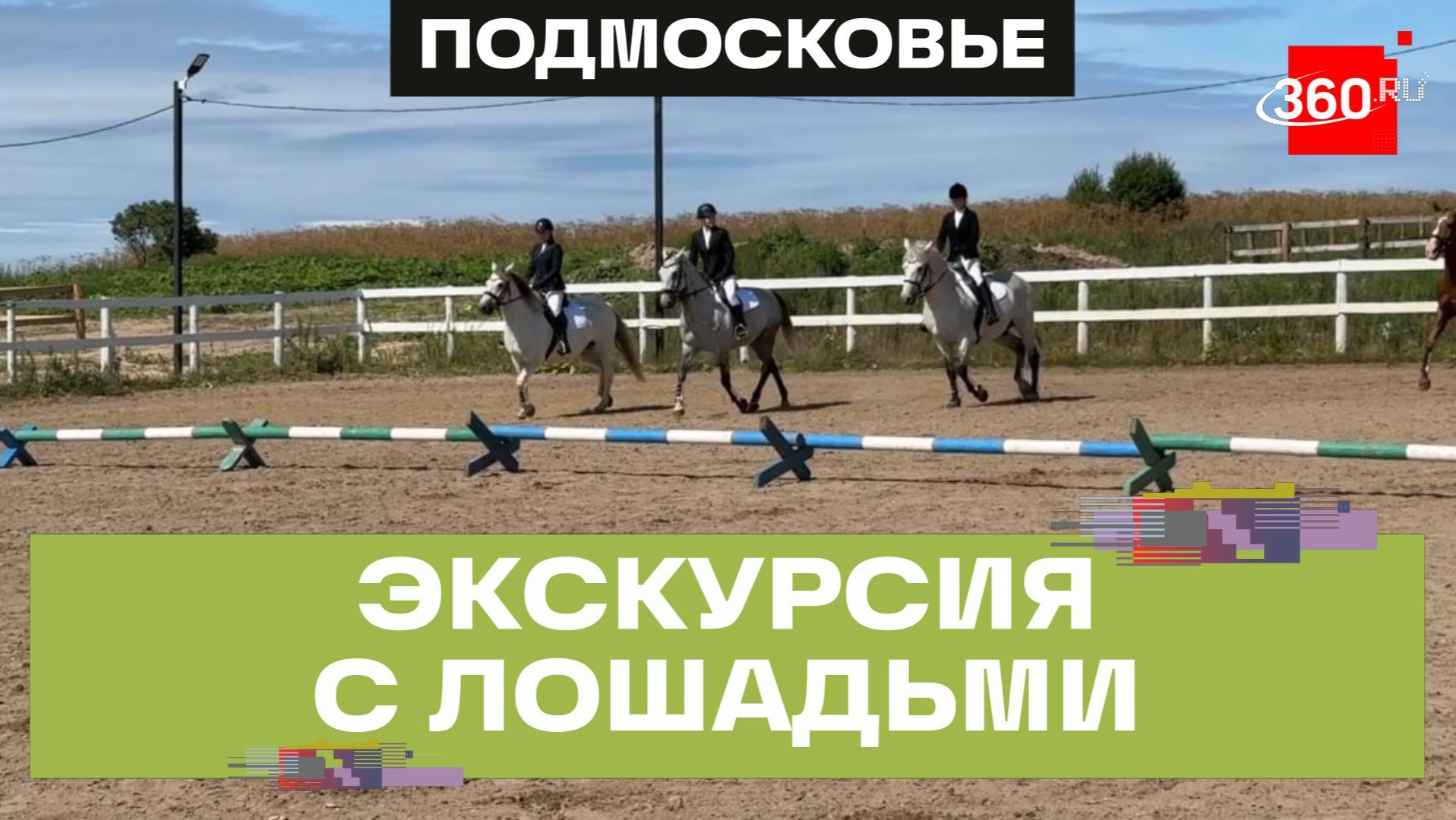 Экскурсия и выступления с лошадьми в Клину