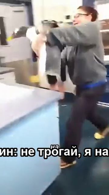 Почему нельзя трогать пингвинов?