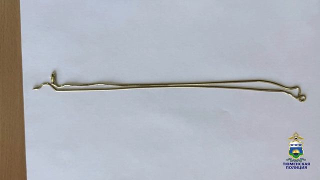 Две жительницы Тюмени уличены в подмене золотых цепочек на бижутерию в пунктах выдачи заказов