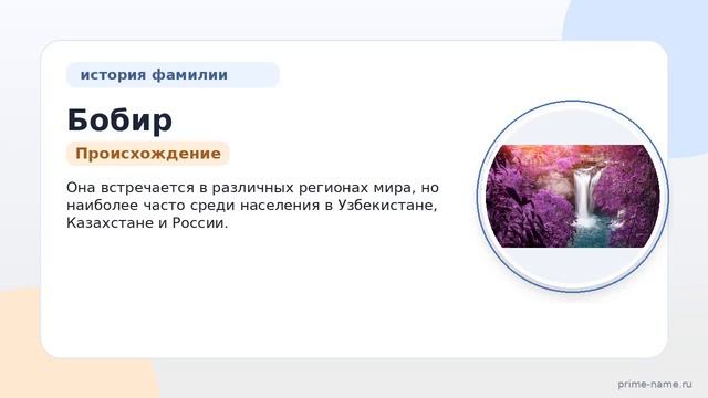Фамилия Бобир: происхождение значение и склонение