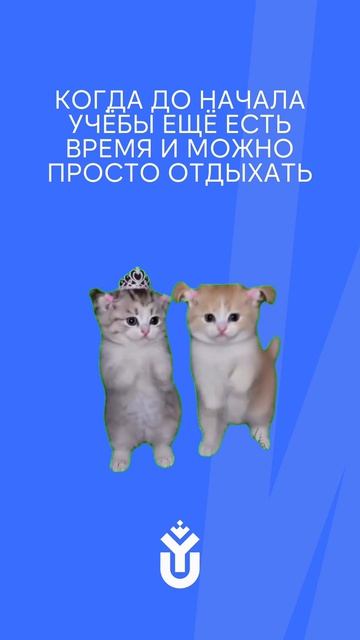 ЕЩЁ ЦЕЛАЯ НЕДЕЛЯ ЛЕТА ВПЕРЕДИ