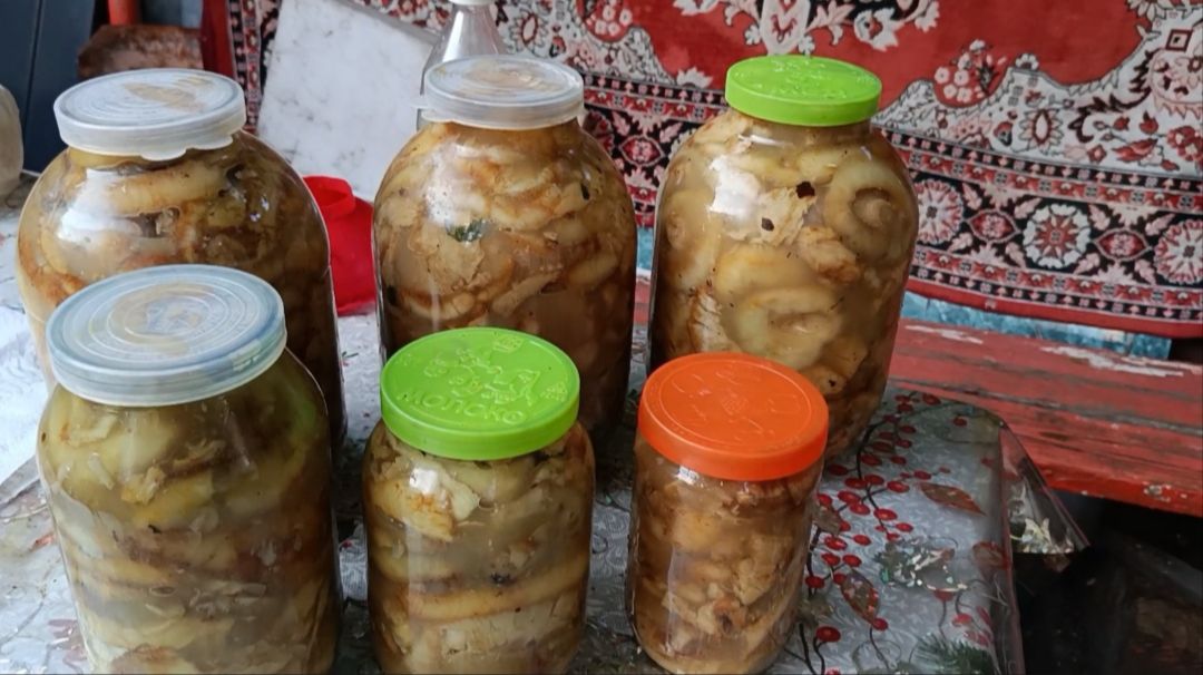 ЗАНИМАЕМСЯ МАРИНОВАННЫМИ ГРИБАМИ НА ЗИМУ РЕЦЕПТ ОТ МУЖА