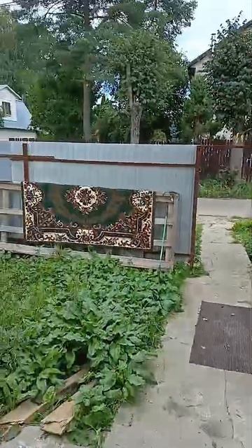VID-20260820-WA0000.mp4