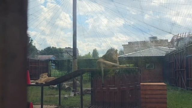 NYAB3397_21.08.2026-Видео от Светланы