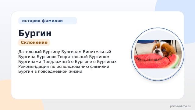 Фамилия Бургин: происхождение значение и склонение