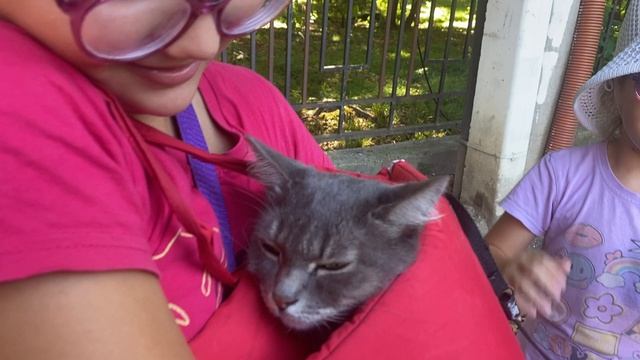 catlife. 2 . Princesses Valeriay and Sofia Love princess Valeria Sophia