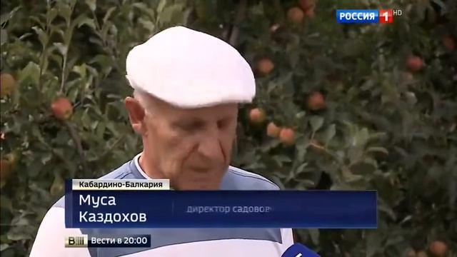 Сады Кабардино Балкарии