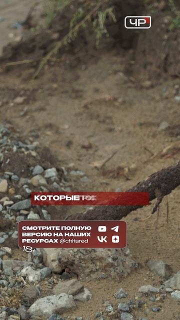 У нас всё печально и плохо: активисты Забайкалья готовят десант к Трутневу